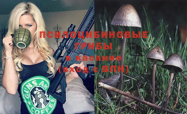 не бодяженный Беломорск