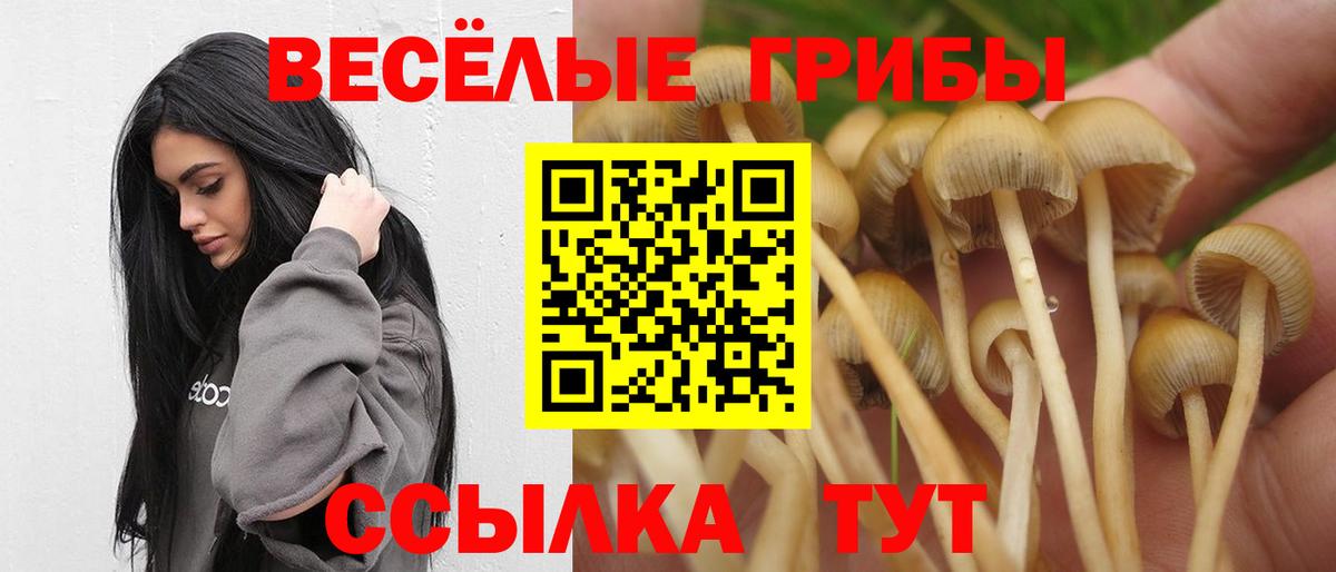 Галлюциногенные грибы мицелий  Вход с VPN  Галлюциногенные грибы мухоморы  закладки  Гусев 